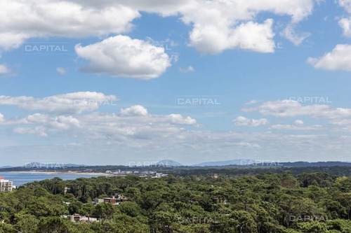Imagen 11 de 13 de Alquiler De Apartamento De Un Dormitorio A Estrenar - Punta Del Este Roosevelt