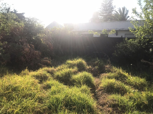Imagen 14 de 14 de Oportunidad De Casa A Buen Precio En Una Linda Zona!!! Ph 3 Amb A Terminar En Boulogne.