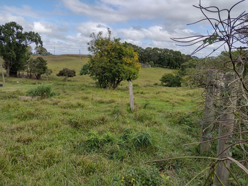 Imagem 1 de 13 de Chácara 1,5 Alqueires Não Tem Casa Só Terra,400mts Do Asfalto,localização Nobre,agua Cristalina Nascente,27 Kms Do Centro De Itapetininga - Ch00082 - 69505785