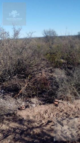 Imagen 2 de 7 de Campo - Ayacucho
