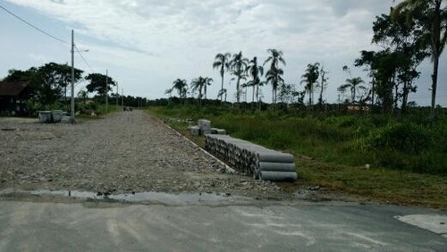 Imagem 10 de 25 de Terreno No Praia Do Ervino Com 0 Quartos Para Venda, 600 M² - Ft713
