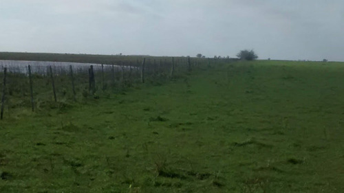 Campo Ganadero Gral. Lavalle