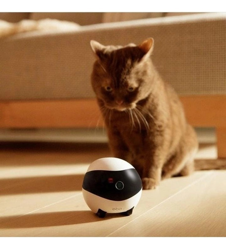 Robo De Câmera Sem Fio Enabot Ebo Se Standard Monitoramento Robô Branco