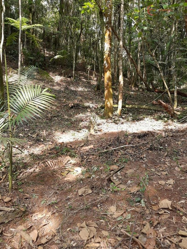 Imagem 14 de 26 de Terrenos Em Loteamento Fechado À Venda Em Mairiporã/sp - Compre O Seu Terrenos Em Loteamento Fechado Aqui! - 1452335