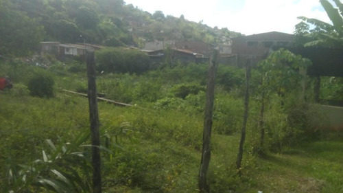 Imagem 5 de 8 de Terreno Em Guabiraba Nova Descoberta - Te0049