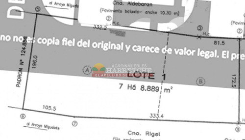 Imagen 16 de 16 de Campo, 7 Has, Cno Mendoza, Quinta En Producción Con Frente A Dos Caminos