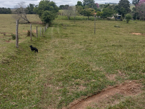 Imagem 3 de 30 de Chácara 4,5 Alqueires Casa Simples E Boa,poço Caipira Agua Cristalina,corrego No Fundo,fácil Acesso 800mts Do Asfalto,ótimo Pasto,27 Kms Itapetininga - Ch00081 - 69505662
