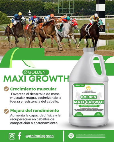 Anabolico Natural, Jarabe Multivitaminico, Equino