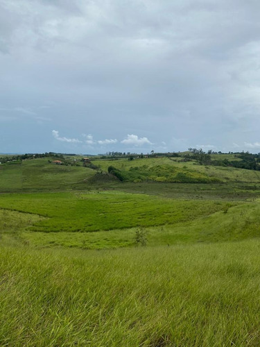 Imagem 22 de 30 de G06-terreno Para Sítios Em Jacareí