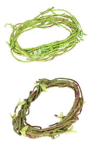 Nest Terrarium Crawler Box Vines, 2 Unidades