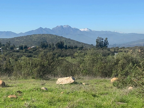 Terreno Para Tu Proyecto (103786)