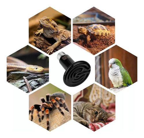 Foco Cerámica 100w Acuario Reptiles Luz Nocturna 2 Piece,