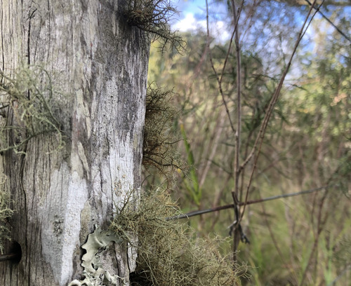 Oportunidad Terreno En Chacras Del Pinar La Colina 1000 Mts.
