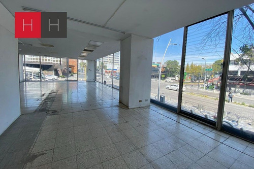 Imagen 8 de 12 de Local En Renta En Av. Juárez Col. La Paz