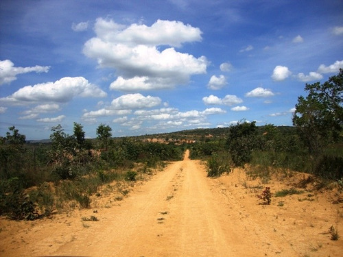 Imagem 2 de 8 de Fazenda À Venda, Centro - Caetanópolis/mg - 363
