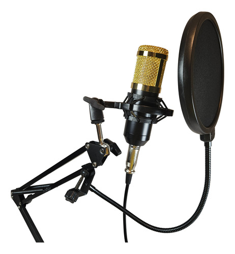 Kit Streaming Microfono Estudio Atril Filtro Bm800k Cipriani