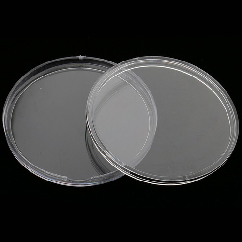Colección De Monedas De Almacenamiento 55 Mm