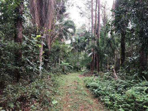 Imagem 8 de 30 de Terreno À Venda, 30000 M² Por R$ 3.698.000,00 - Cipó Do Meio - São Paulo/sp - Te0059