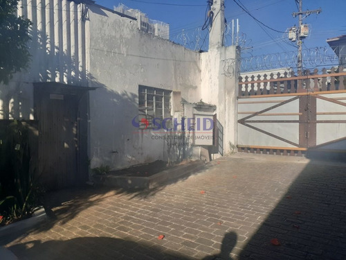 Imagem 12 de 15 de 1950m2 Na Região Da Av. Sta. Catarina - Frente De 40ml Para A Rua. - Mc5266