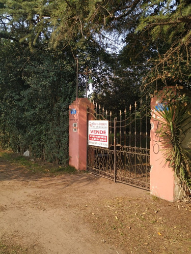 Imagen 1 de 4 de Gran Lote Francisco Alvarez Venta