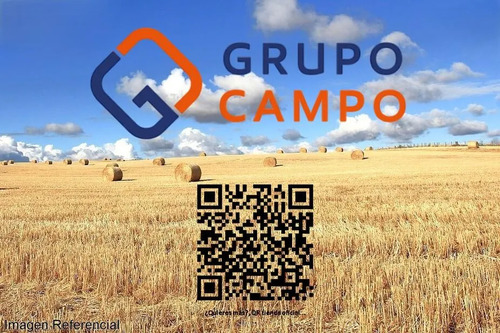 Terreno Agrícola En Venta, Campo De 60 Ha, Teno
