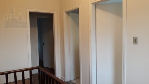Imagem 15 de 27 de Comercial Para Aluguel, 0 Dormitórios, Mirandópolis - São Paulo - 12395