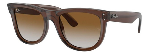 Ray-ban Rb0502s 6709cb Wayfarer Reverse Transparent Brown