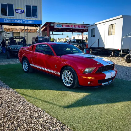 Ford Mustang Shelby Coupe Mt