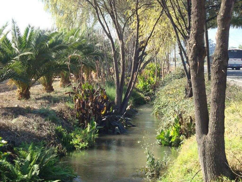Terreno Frente Carretera Ch-1 - 100