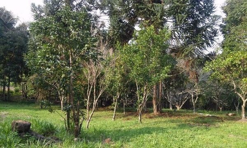 Terreno Em Km 4 - Nk18179