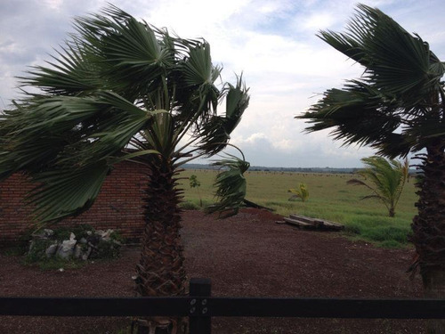 Imagen 4 de 12 de Terreno En Venta La Piedra