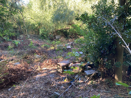 Terreno En Venta - Avenida Luis Braile Prox. Camino Maldonado