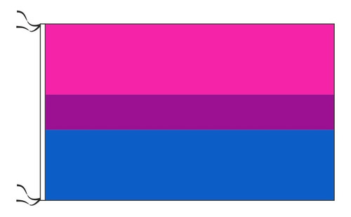 Bandera Bisexual Lgbt 60 X 90cm