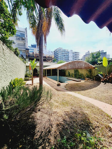 Espectacular Casa En El Corazon De Punta Carretas