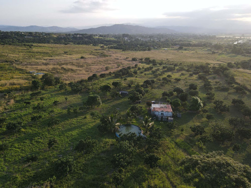Imagen 12 de 24 de Granja En Venta Yaritagua 12 Hectareas Cod. 23-17577