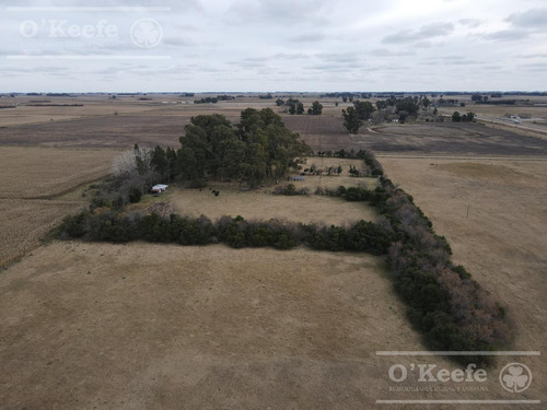 Imagen 4 de 23 de Chacra En Venta De 20 Has Sobre Ruta 3 - Combina Producción Y Descanso - Las Flores