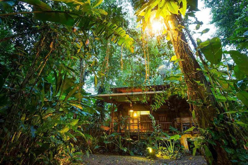 En Venta Lotes Ecológicos En Tulum (237)