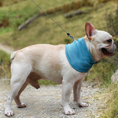Pañuelo De Enfriamiento Para Perros, Collar De M