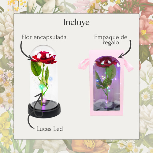 Rosa Eterna Con Luz Led Flor Artificial Para Regalo Colores Rojo