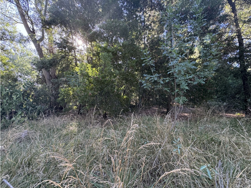 Lote En Venta En Los Bosquecitos. Con Construcción.