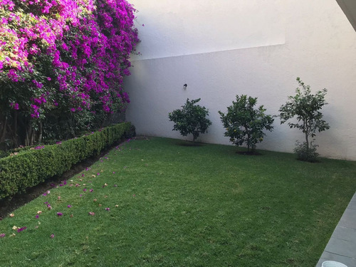 Imagen 30 de 30 de Se Vende Casa En Jardines Del Pedregal