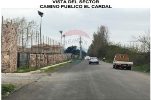 Imagen 7 de 8 de Terreno Para Proyecto Residencial / Comercial