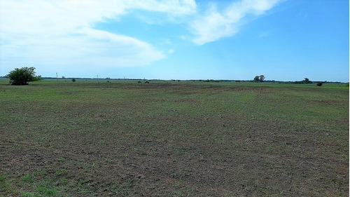 Imagen 16 de 23 de Poblet - 179 Has Con Casco Y Mejoras - Baum Propiedades