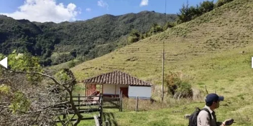 Bloque De 123 Hectareas Para Aguacate Hass En Abejorral