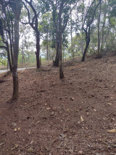 Imagem 13 de 14 de D20- Lotes Em Santa Isabel 1.000m2 Apenas 60mil A Vista