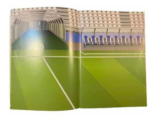 Libro Mi Equipo De Football Con Stickers Para Pegar (Usado)