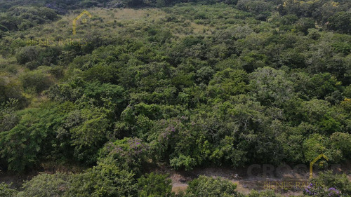 Terreno - Xalapa