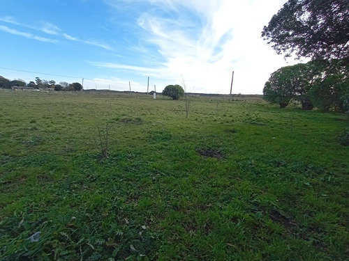 Imagen 6 de 30 de 1/2 Hectaria Con Casa