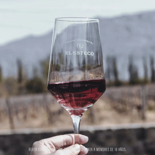 Imagen 3 de 10 de Vino El Esteco Partida Limitada Chañar Punco Malbec Caja X 3