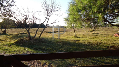 Quinta En Venta Minas 3 Dormitorios, 5 Hectáreas